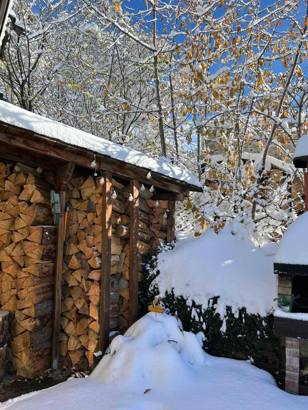 Chepelare Holiday Guest House エクステリア 写真