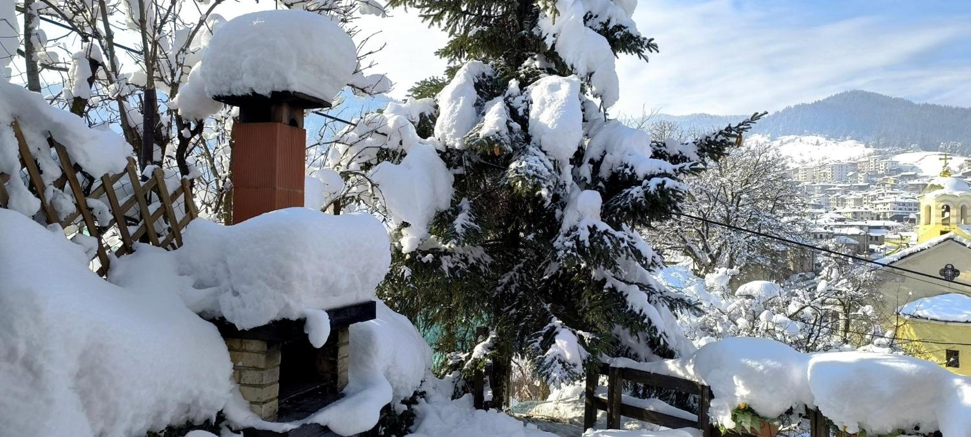 Chepelare Holiday Guest House エクステリア 写真